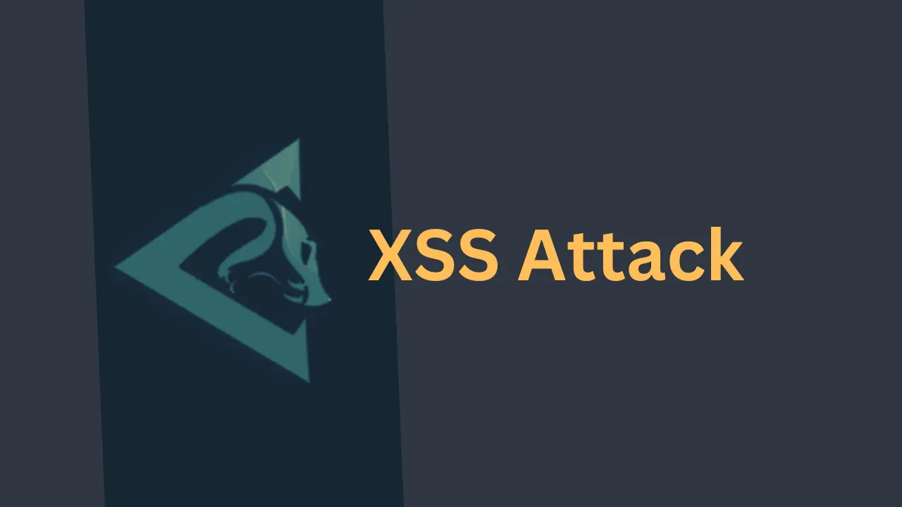 learn about xss attack